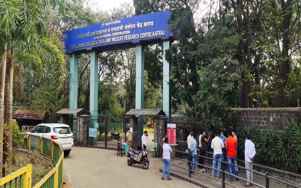 20 Best Places to Visit in Pune – Discover the Cultural Soul of Maharashtra 21 Rajiv Gandhi Zoological Park Katraj Zoo